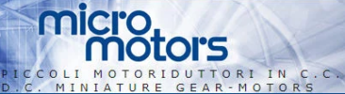 MICRO MOTORS SRL