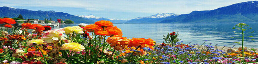 欧州流通在庫 24001-28000 (T～Z)｜HASHIUDO DENSHI 株式会社（ハシウドデンシ）